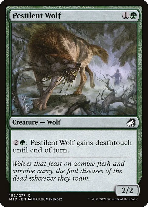 Pestilent Wolf · Innistrad: Midnight Hunt 192/399