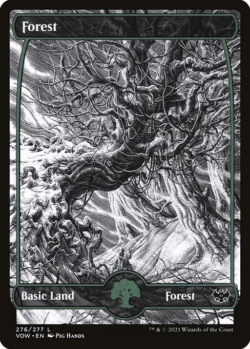 Forest · Innistrad: Crimson Vow 276/423