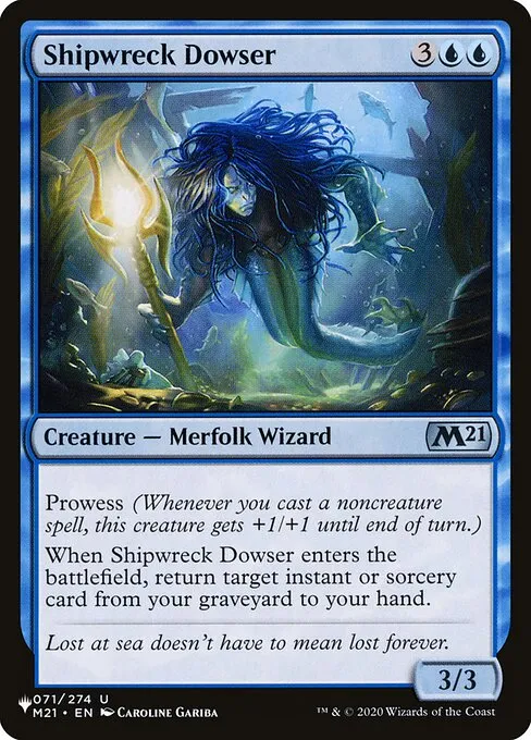 Shipwreck Dowser · The List M21-71/5050