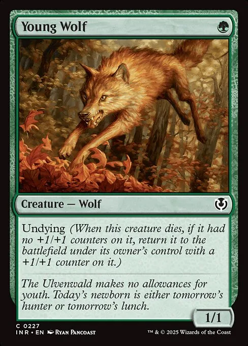 Young Wolf · Innistrad Remastered 227/495