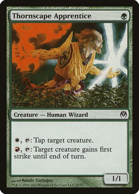 Thornscape Apprentice · Duel Decks: Phyrexia vs. the Coalition 37/71