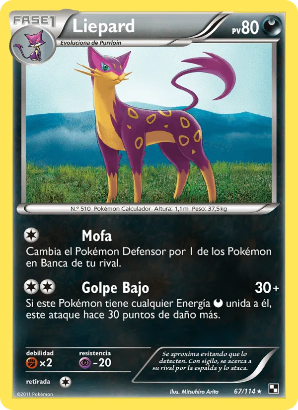 Liepard · Negro y Blanco 67/114