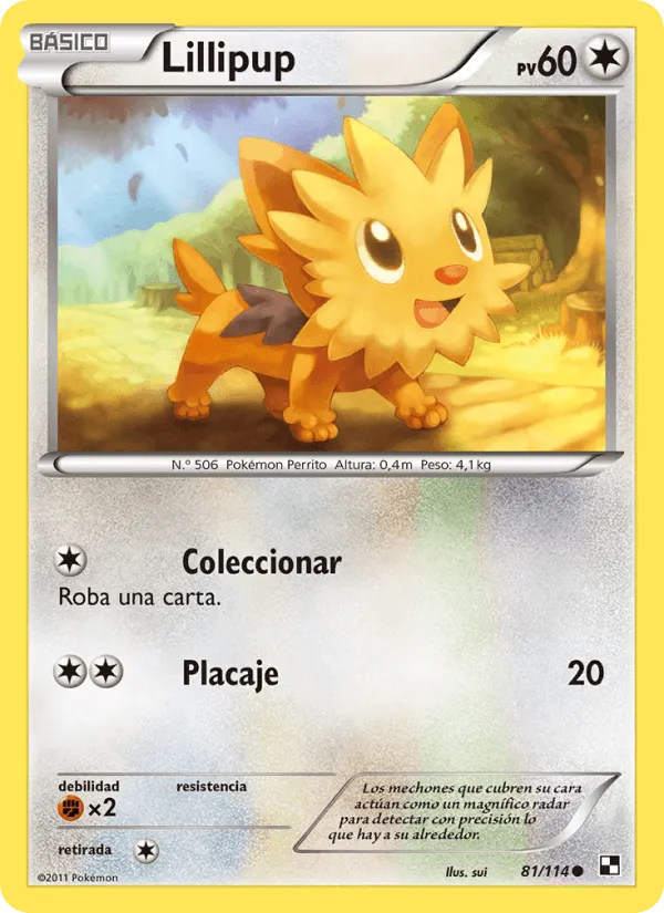 Lillipup · Negro y Blanco 81/114