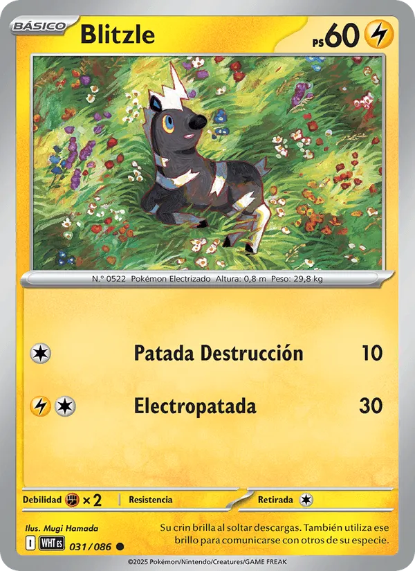 Blitzle · Llama Blanca 031/86