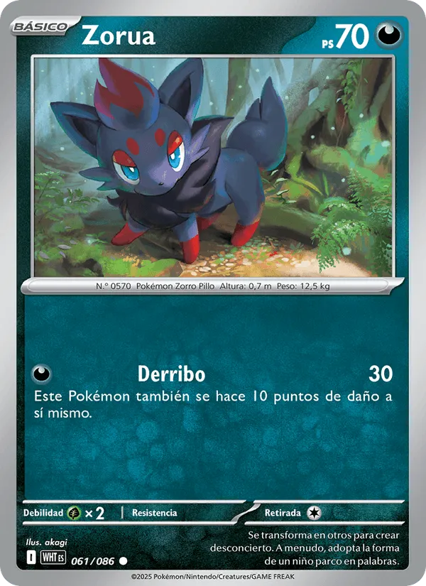 Zorua · Llama Blanca 061/86
