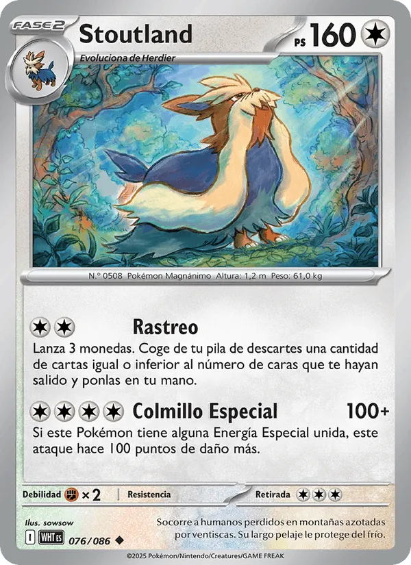 Stoutland · Llama Blanca 076/86