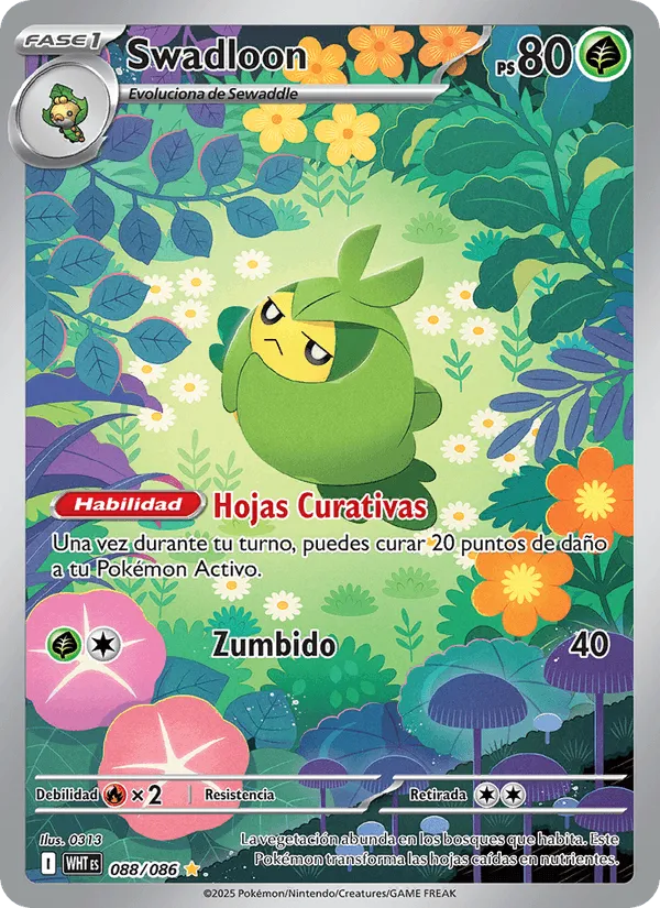 Swadloon · Llama Blanca 088/86