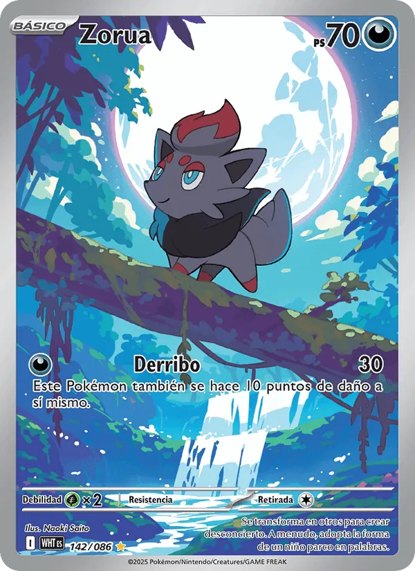 Zorua · Llama Blanca 142/86