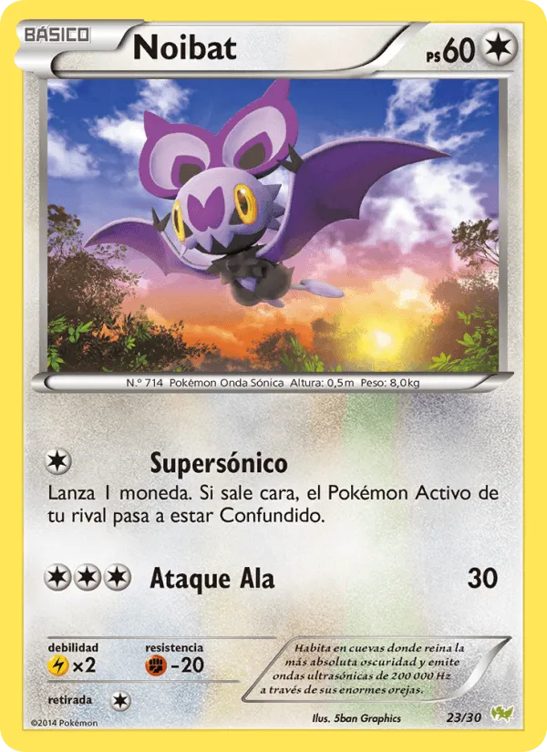 Noibat · Kit de Entrenador XY (Noivern) 23/30