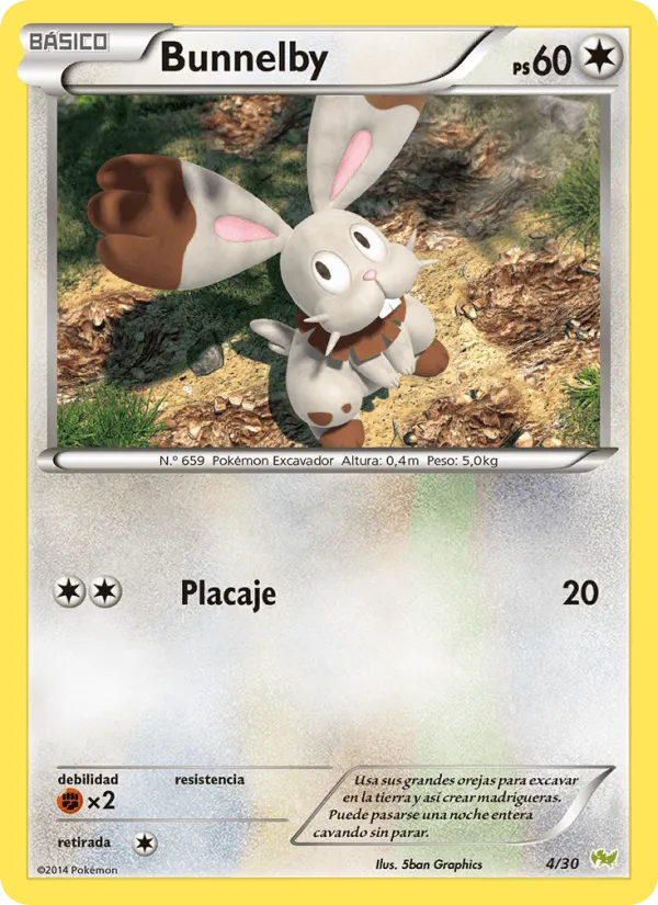 Bunnelby · Kit de Entrenador XY (Noivern) 4/30