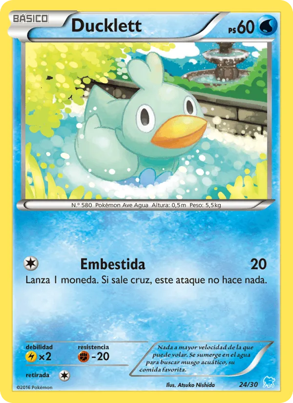 Ducklett · Kit de Entrenador XY (Suicune) 24/30