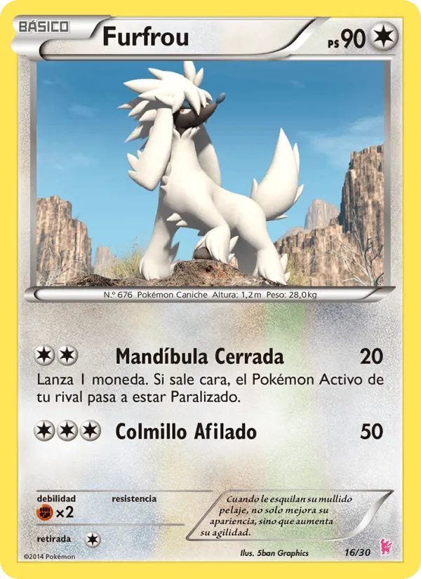Furfrou · Kit de Entrenador XY (Pikachu Enmascarada) 16/30