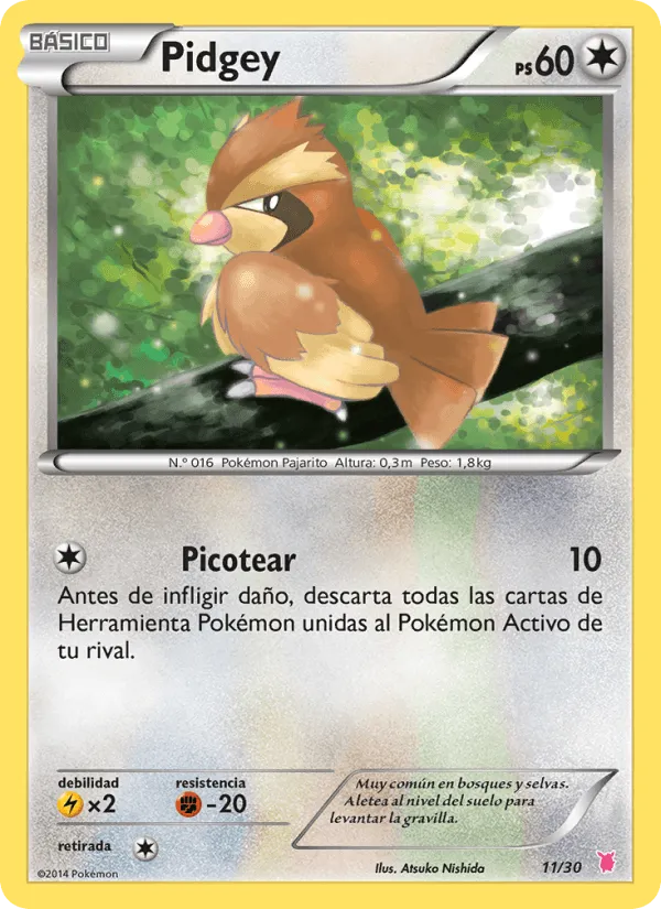 Pidgey · Kit de Entrenador XY (Wigglytuff) 11/30