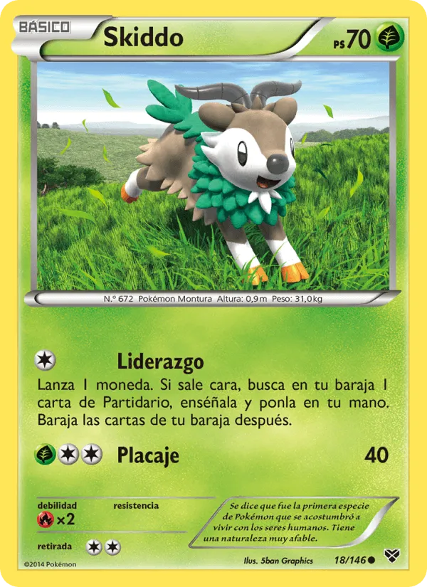 Skiddo · XY 18/146
