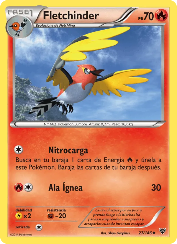 Fletchinder · XY 27/146