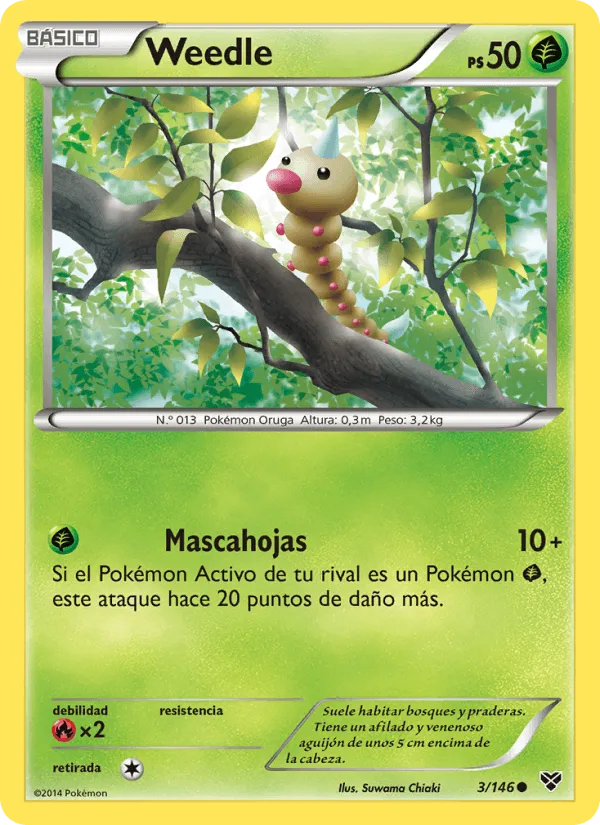 Weedle · XY 3/146