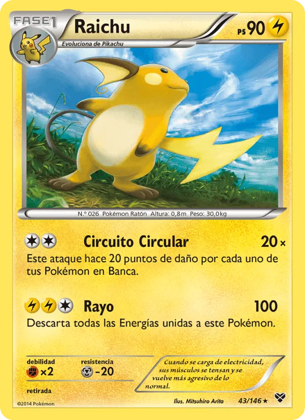 Raichu · XY 43/146