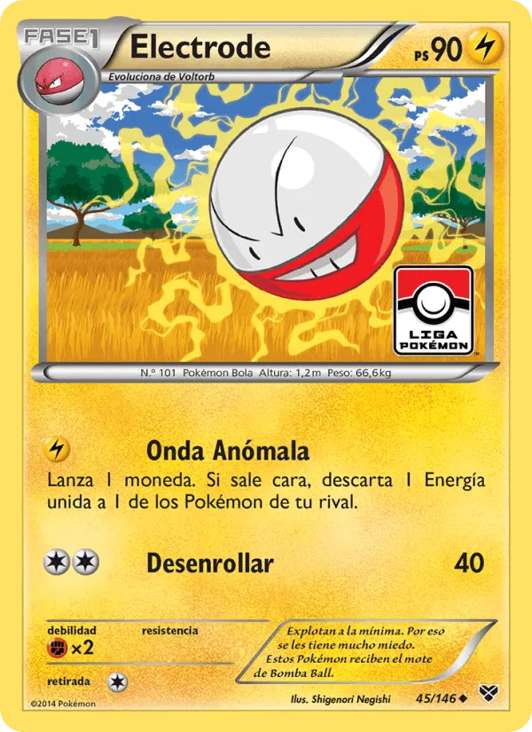 Electrode · XY 45/146