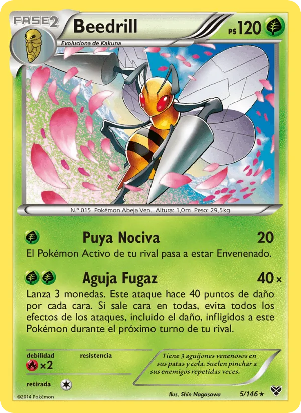 Beedrill · XY 5/146
