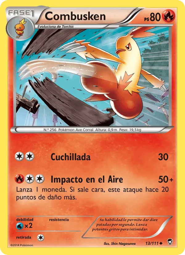Combusken · Puños Furiosos 13/111