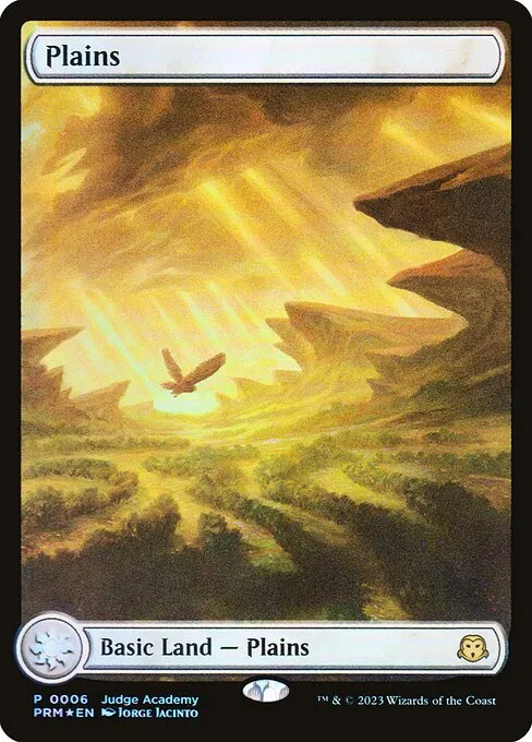 Plains · Judge Gift Cards 2023 6/10