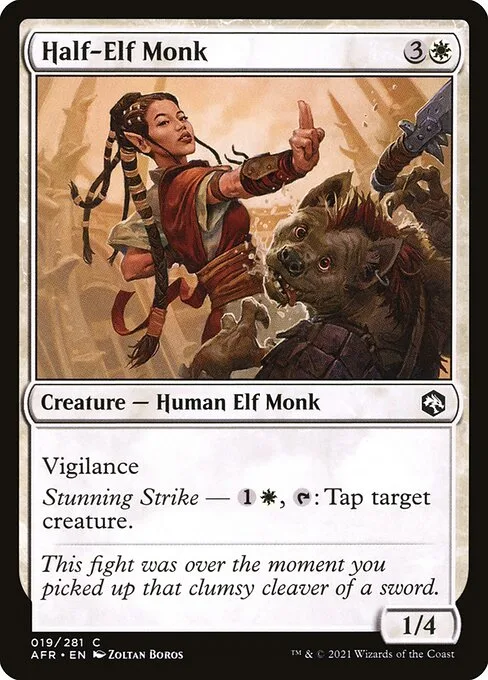 Half-Elf Monk · Adventures in the Forgotten Realms 19/424