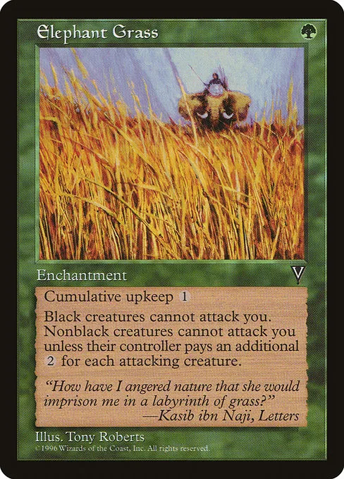 Elephant Grass · Visions 104/167