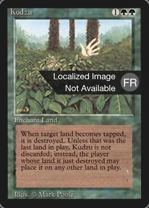 Kudzu · Foreign Black Border 205/307