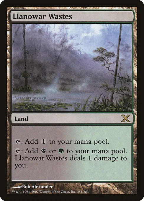 Llanowar Wastes · Tenth Edition 355/510