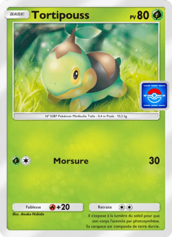Tortipouss · Promo-A 035/73