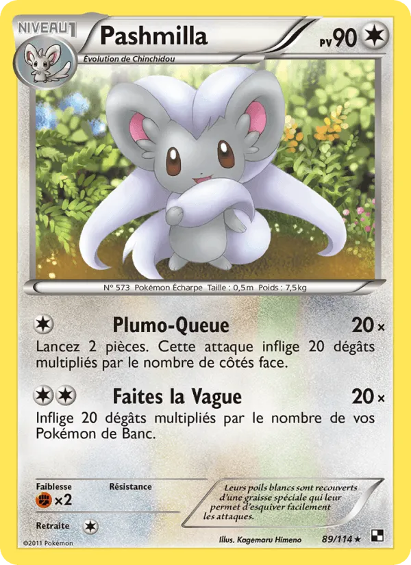Pashmilla · Noir & Blanc 89/114