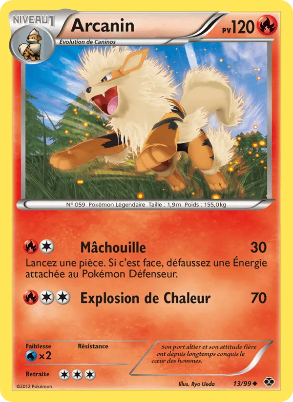 Arcanin · Destinées Futures 13/99