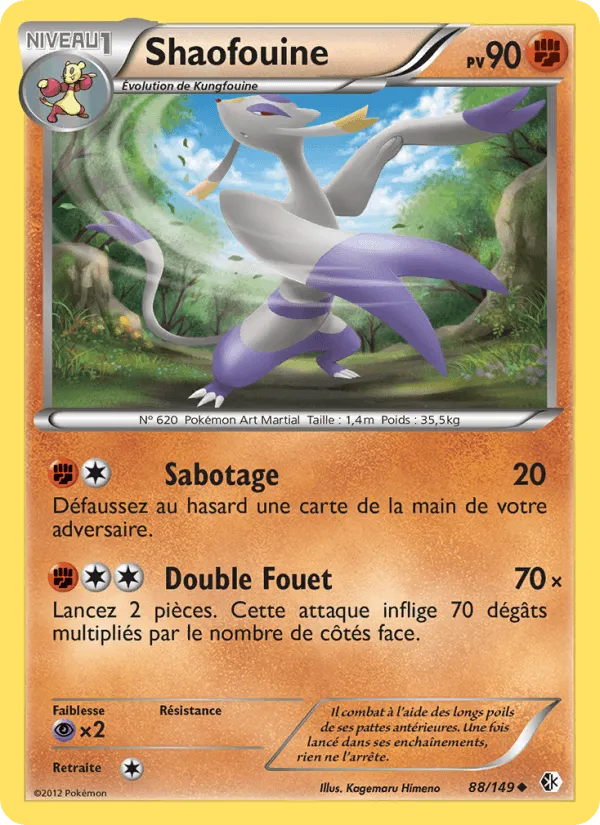 Shaofouine · Frontières Franchies 88/149