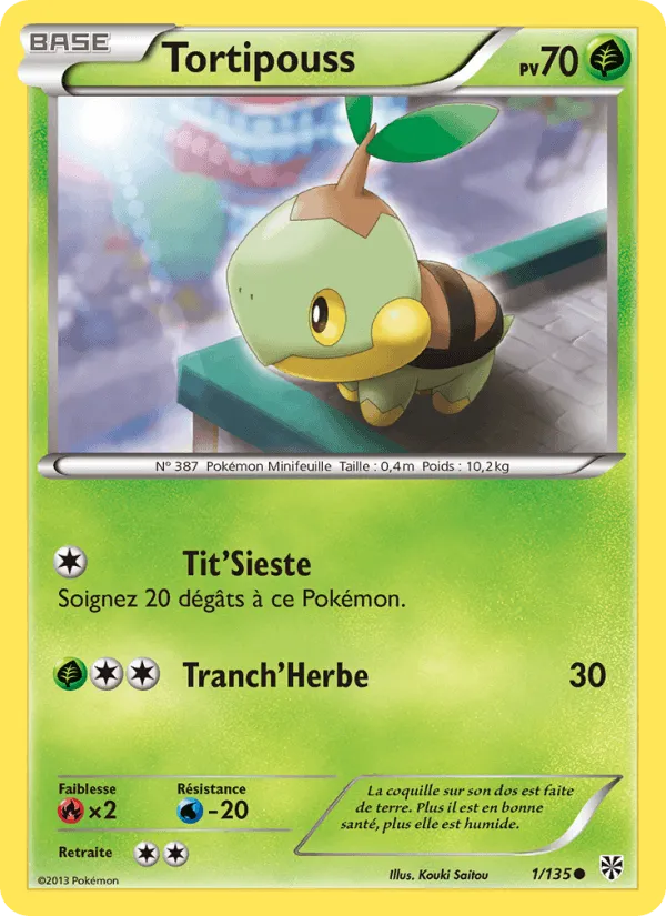 Tortipouss · Tempète Plasma 1/135