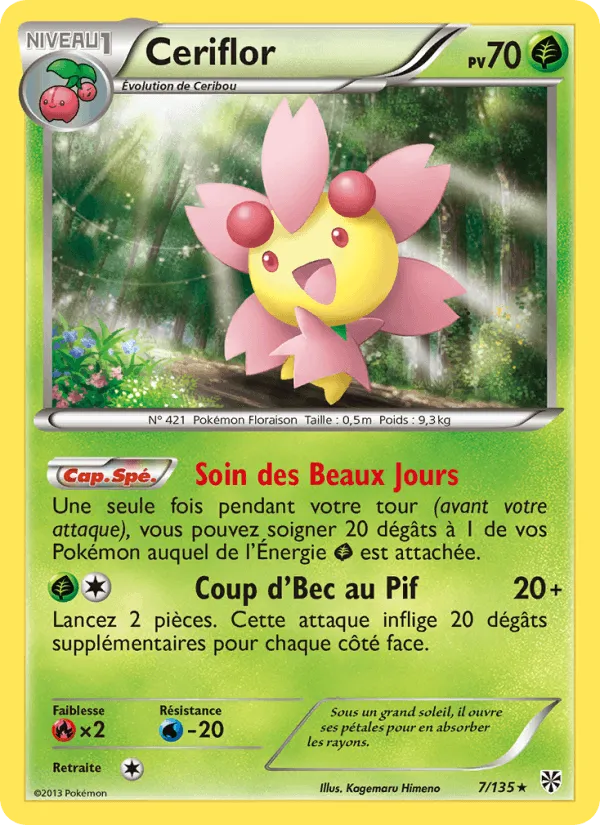 Ceriflor · Tempète Plasma 7/135