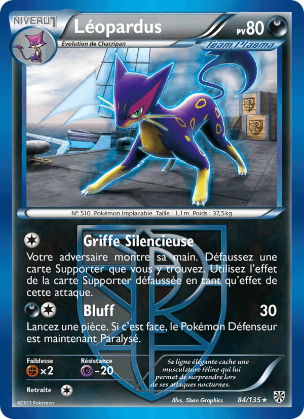 Léopardus · Tempète Plasma 84/135