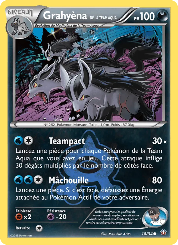 Grahyèna de la Team Aqua · Double Danger 18/34