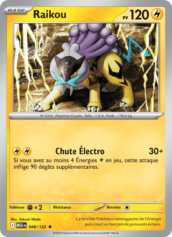 Raikou · Méga-Évolution 048/132