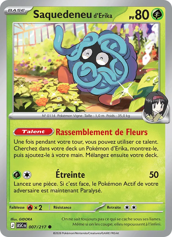 Saquedeneu d'Erika · Héros Transcendants 007/217
