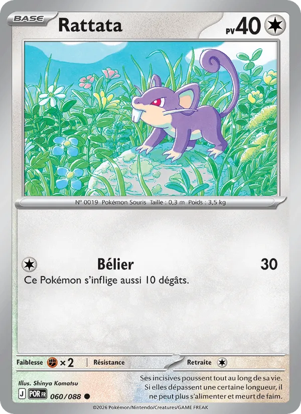 Rattata · Équilibre Parfait 060/88