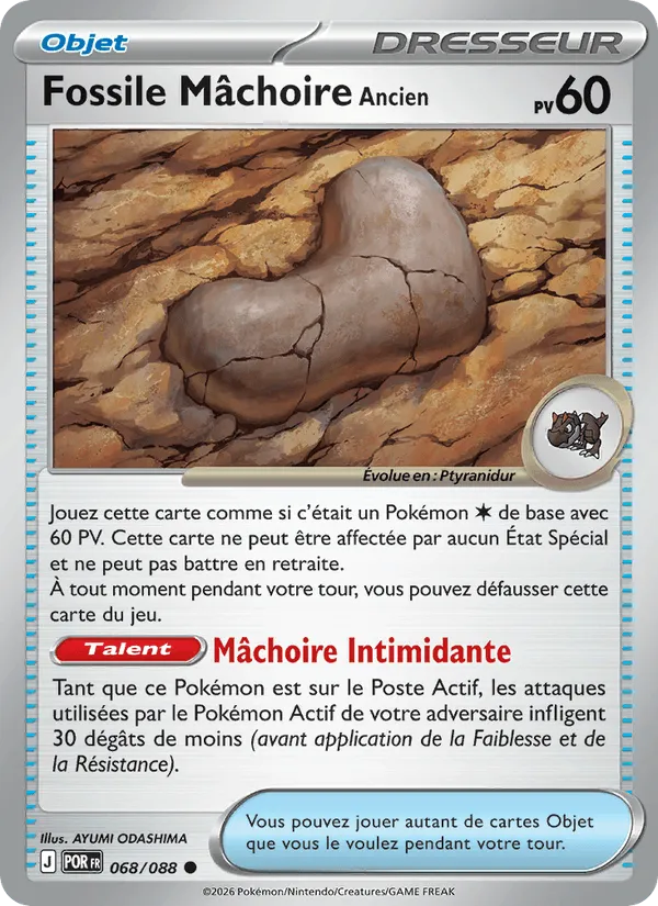 Fossile Mâchoire Ancien · Équilibre Parfait 068/88