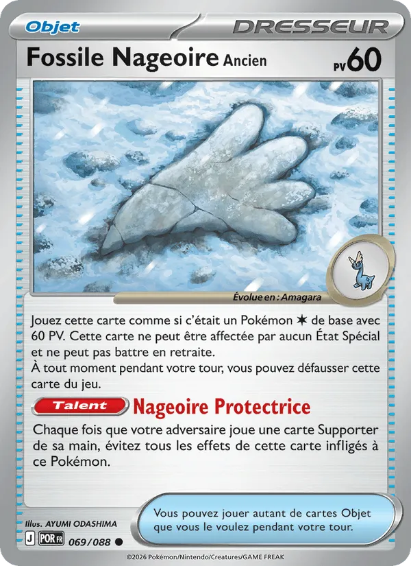 Fossile Nageoire Ancien · Équilibre Parfait 069/88