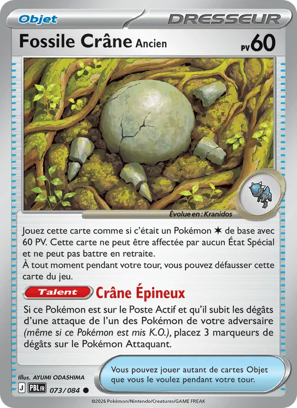 Fossile Crâne Ancien · Nuit Noire 073/84