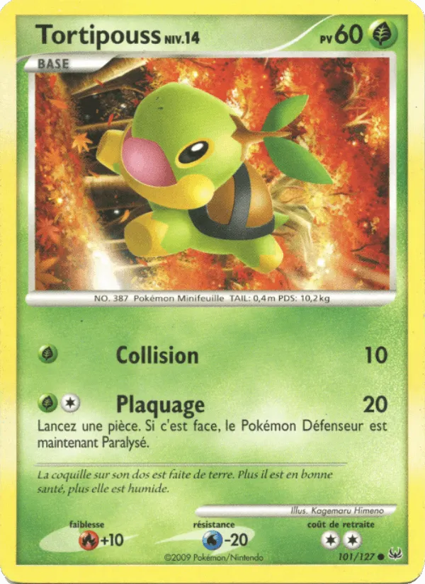 Tortipouss · Platine 101/127