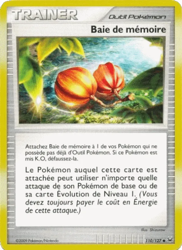Baie de mémoire · Platine 110/127