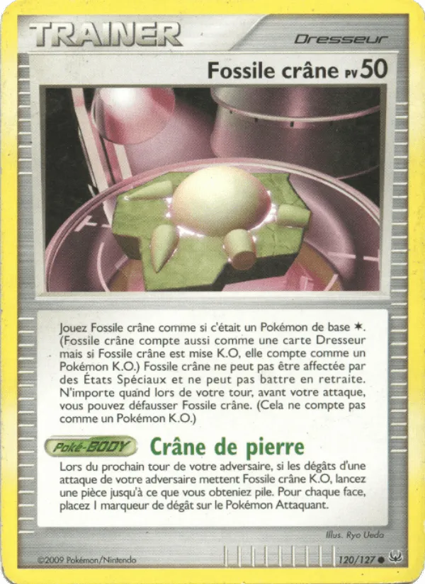 Fossile Crâne · Platine 120/127