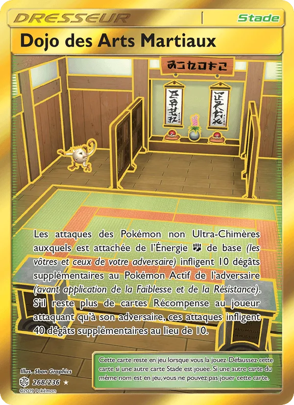 Dojo des Arts Martiaux · Éclipse Cosmique 268/236