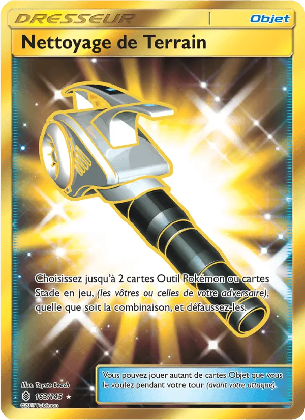 Nettoyage de Terrain · Gardiens Ascendants 163/145