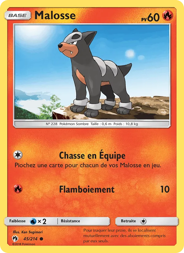 Malosse · Tonnerre Perdu 45/214