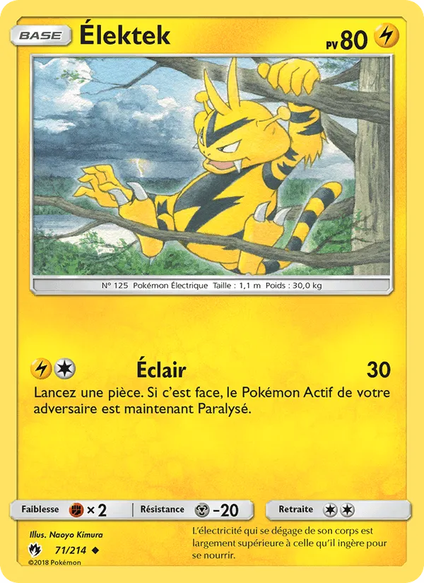 Élektek · Tonnerre Perdu 71/214